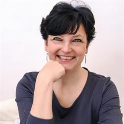SVIT - IVA