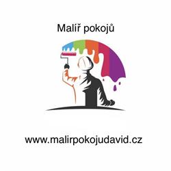 Malíř pokojů David
