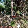 # 5