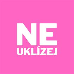 NEuklízej - úklid domáctností