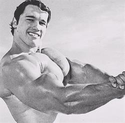 Fitness Atlantis