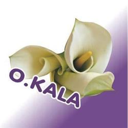 Studio O.KALA