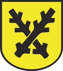 Město Cvikov