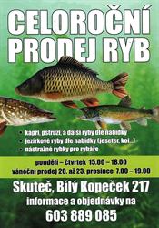 Prodej ryb