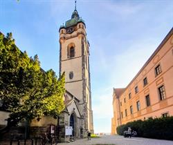 Lev i Sova
