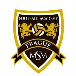 MSM Football Academy