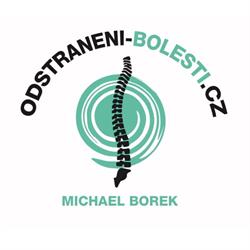 Odstraneni-bolesti.cz - Michael Borek
