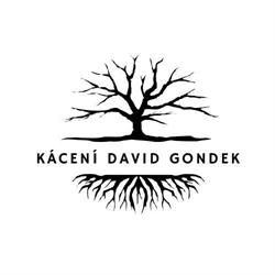 David Gondek