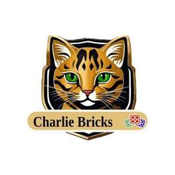Charlie Bricks