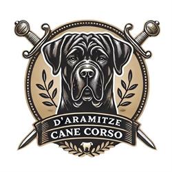 CHS d'Aramitze CC