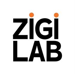 ZigiLab