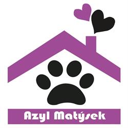 Azyl Matýsek