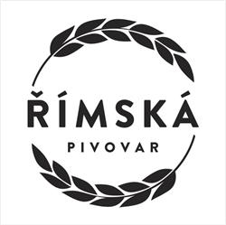 Sdružení Římská 39