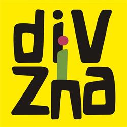 Základní škola DiviZna