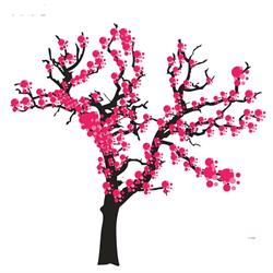 Sakura restaurace