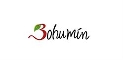 Město Bohumín