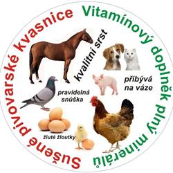 Sušené pivovarské kvasnice