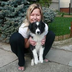 Relaxační penzion pro psy Lucky