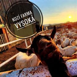 Kozí Farma Vysoká, Chrastava