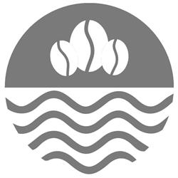 Neami - bistro & café