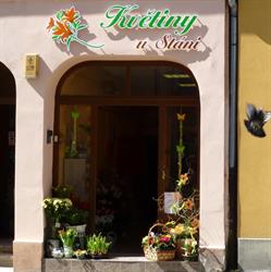 Květiny u Stáni