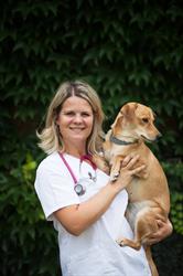 Veterinární ordinace - MVDr. Vendula Hubáčková