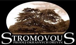 Stromovous
