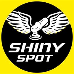 Shiny Spot