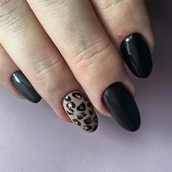 Studio Mani - Pedi