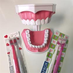 Dentální hygiena Strakonice