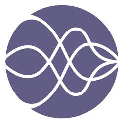 FLOW studio