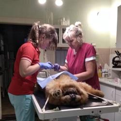Veterinární Ordinace MH MVDr. Jiří Šimůnek