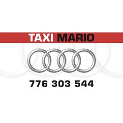 Taxi Mario