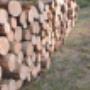 # 3