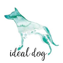 Ideal Dog - komplexní fyzioterapie pro malá zvířata