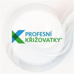Profesní Křižovatky