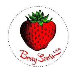 Berry servis, s.r.o.