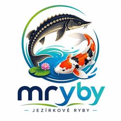 Mryby