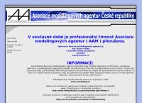 Asociace modelových agentur - AAM