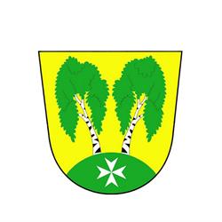 Místní knihovna Březiněves