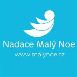 Nadace Malý Noe
