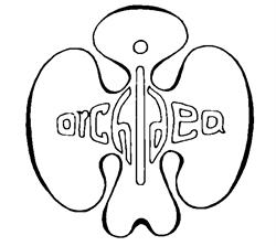 Základní Umělecká Škola Orchidea