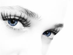IN Optik