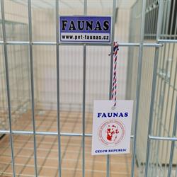 FAUNAS - Petr Slezák
