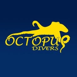 Octopus Divers