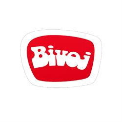 BIVOJ a.s.