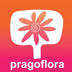 Pragoflora