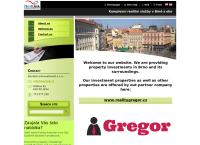 Devlink International S.r.o.