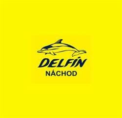 Tj Delfín Náchod - Oddíl Plavání