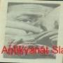 Antikvariát Slaný